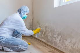 Why You Should Choose Our Mold Remediation Services in Clear Lake, IA