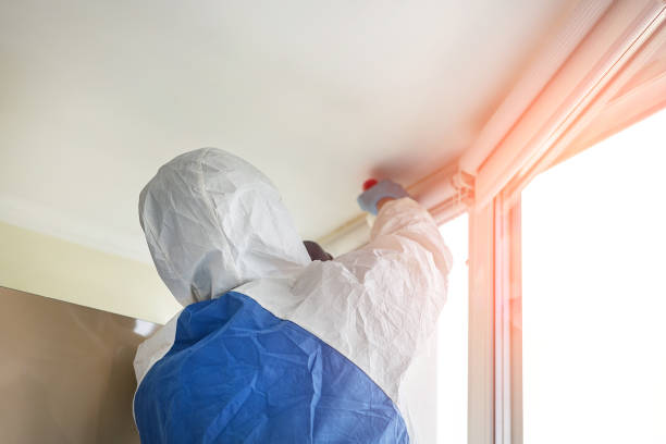 Best Residential Mold Inspection & Testing  in Clear Lake, IA